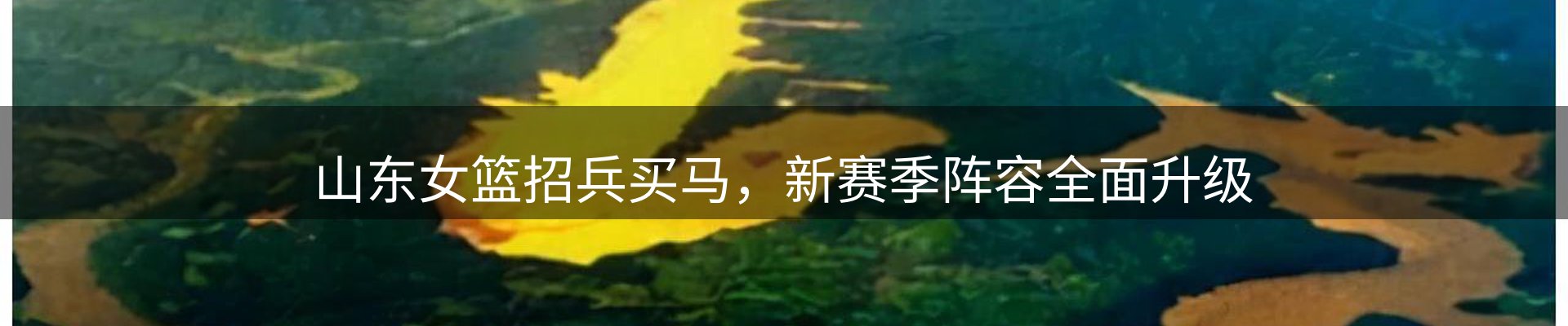 资讯总览